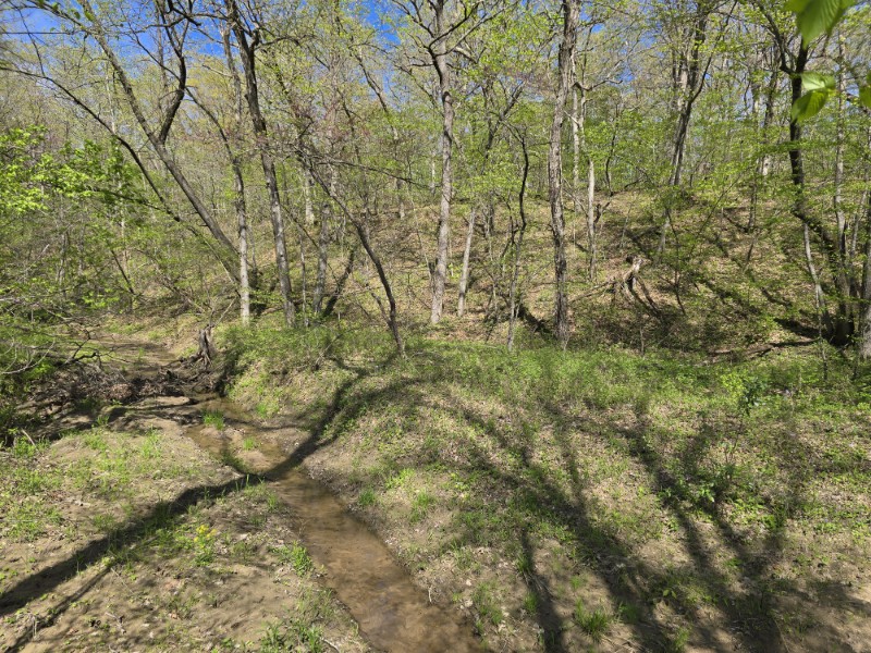 Listing photo 42